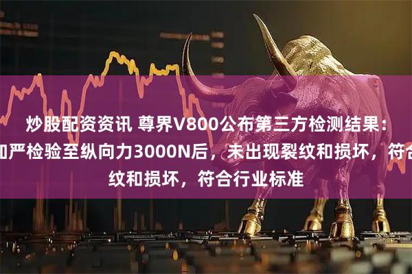 炒股配资资讯 尊界V800公布第三方检测结果：制动踏板加严检验至纵向力3000N后，未出现裂纹和损坏，符合行业标准