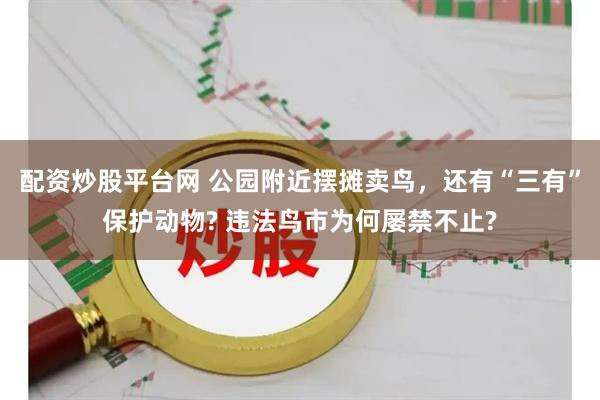 配资炒股平台网 公园附近摆摊卖鸟，还有“三有”保护动物? 违法鸟市为何屡禁不止?